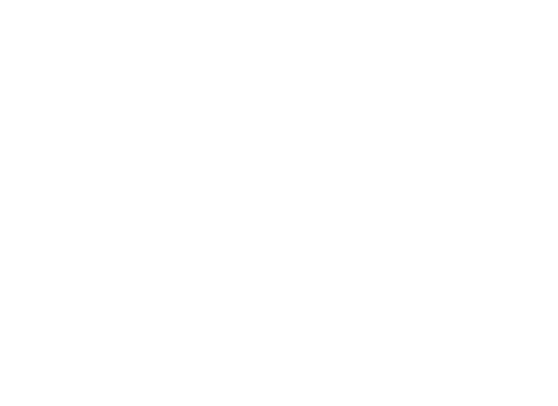 Raimondo Automobiles