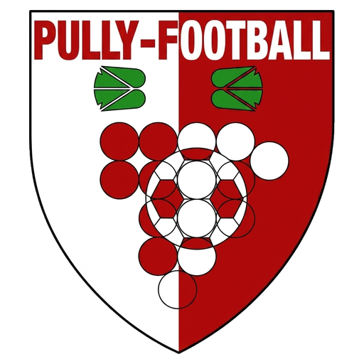 Pully Football III