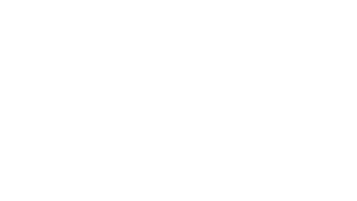 IZZO Désinfection